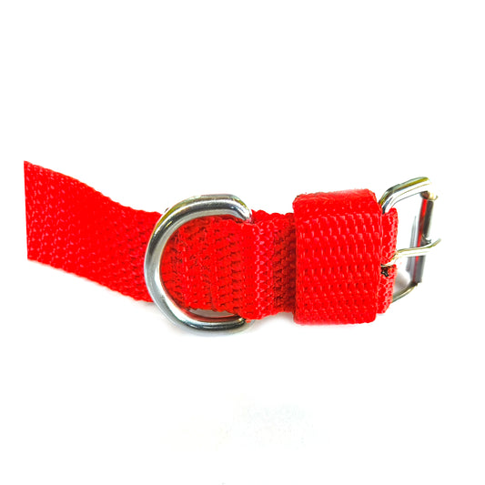 Dog Collar Single Layer Plastic Polymer 0.75 inch
