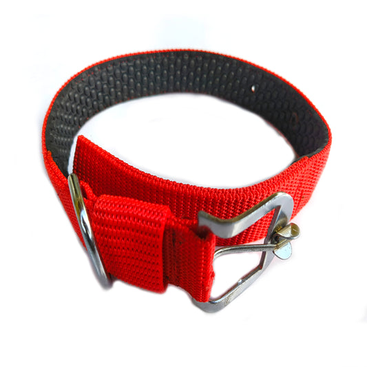 Dog Paded Collar 1.5 inch