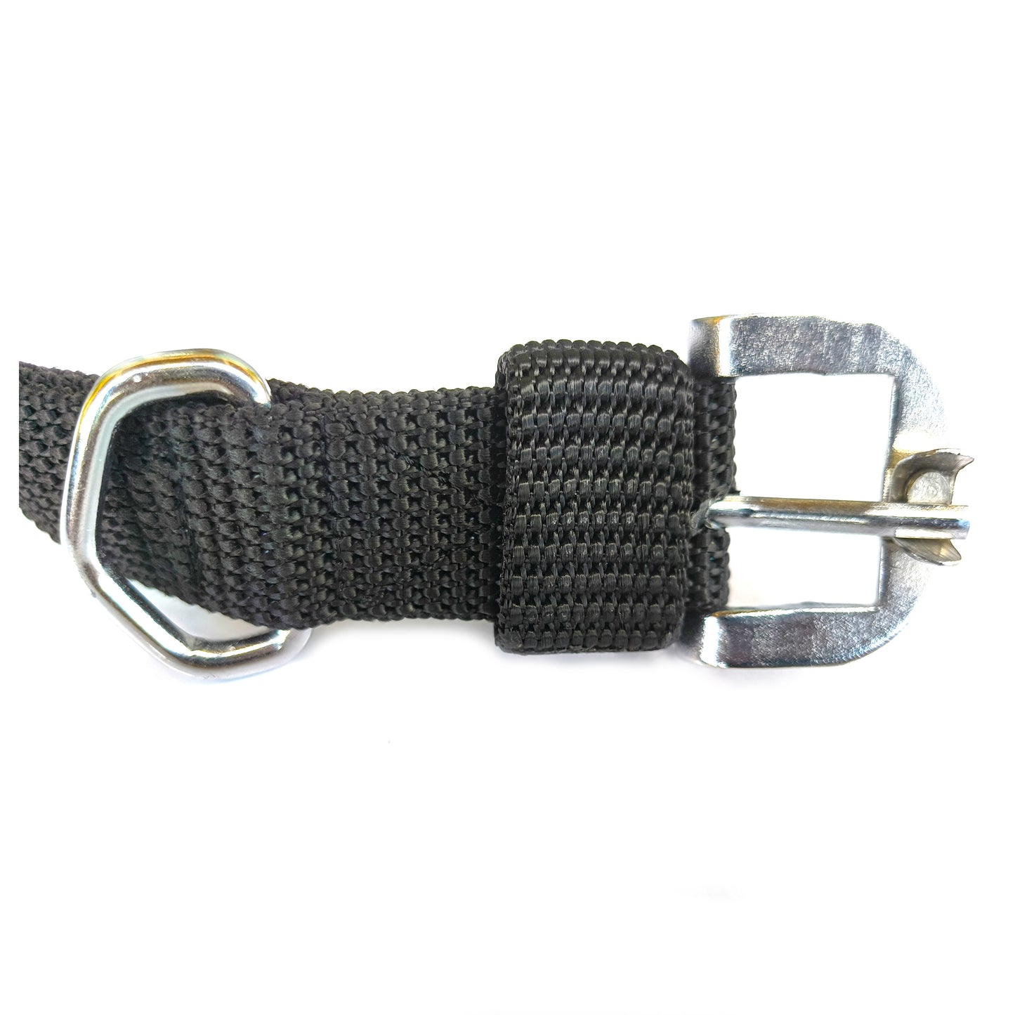 Dog Collar Double Layer Plastic Polymer 1 inch