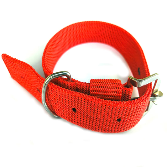 Dog Collar Double Layer Plastic Polymer 1.5 inch