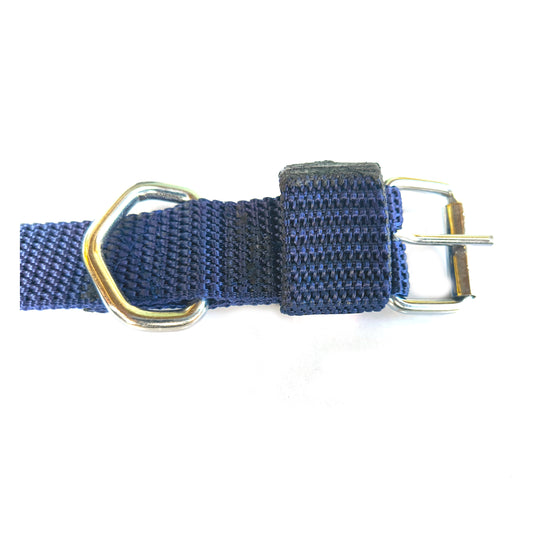 Dog Collar single Layer Plastic Polymer 1 inch