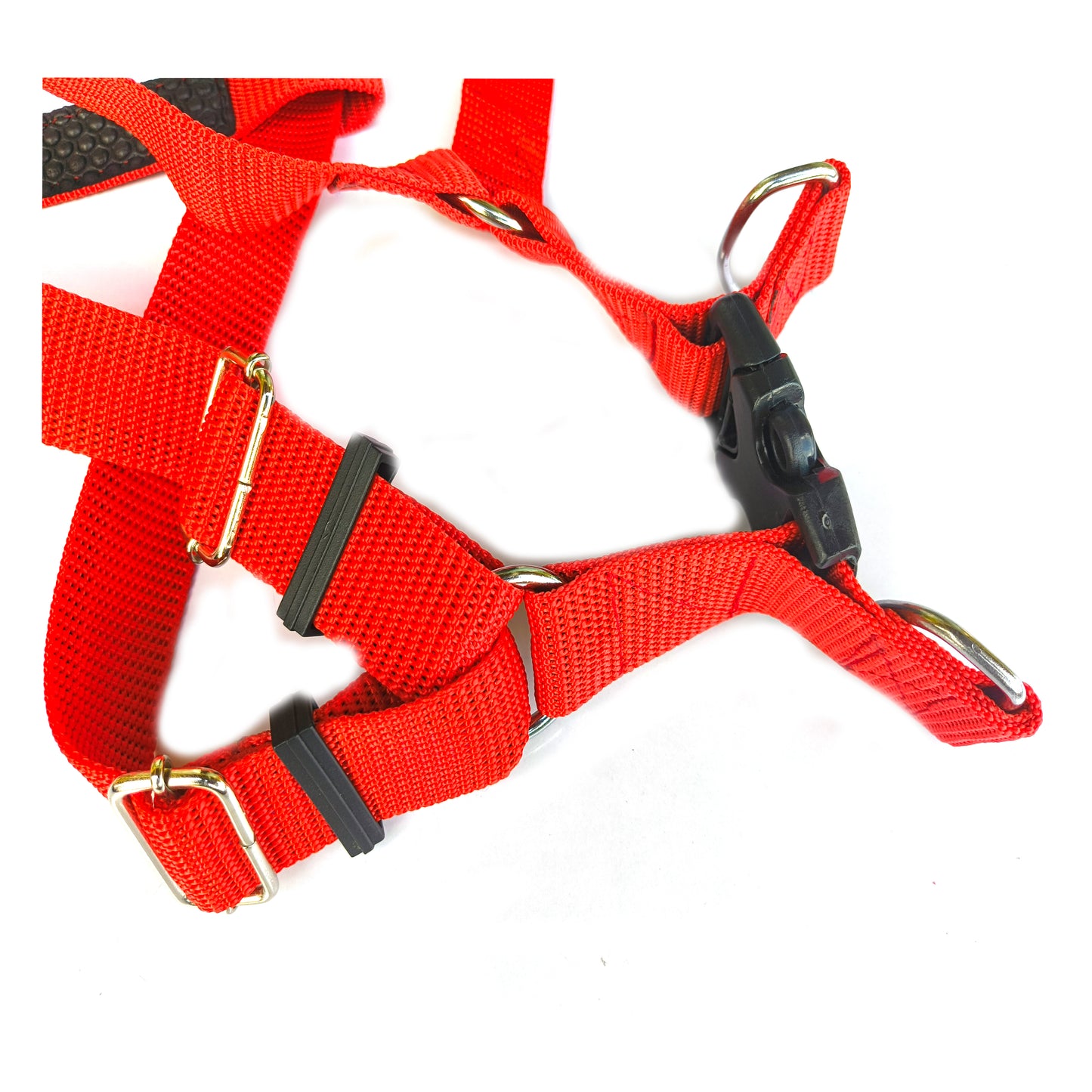 Dog Body Belt Plastic Polymer 1.5 inch