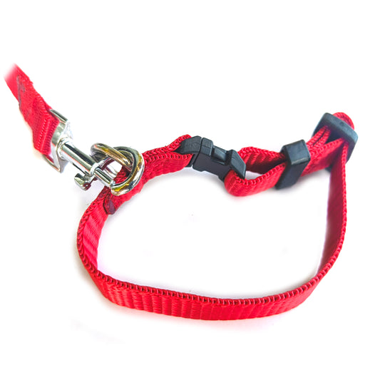 Dog Lease And Collar Nylon 0.5 inch