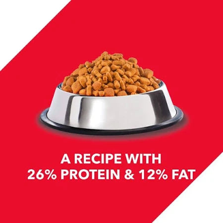 Drools Chicken and Egg Puppy Dog Dry Food