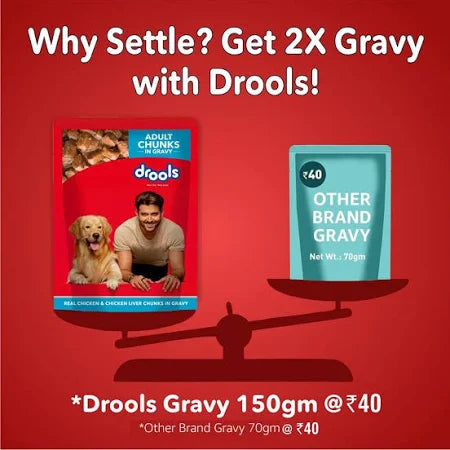 Drools Adult Wet Dog Food, Real Chicken And Chicken Liver Chunks in Gravy