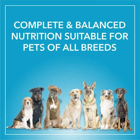 Purepet Chicken Vegetable Dry Adult Dog Food