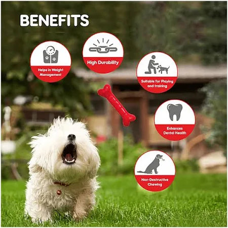 Drools Non-Toxic Rubber Chew Bone Toy