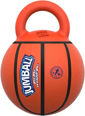 Basket Ball Dog Toy