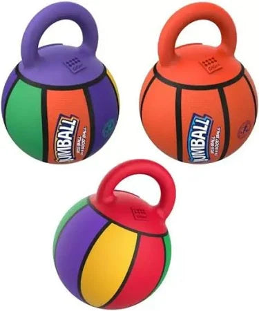 Basket Ball Dog Toy