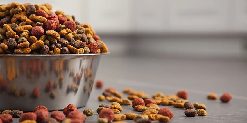 Dog Food