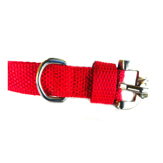 Dog Nylon Collar Single Layer 0.75 inch