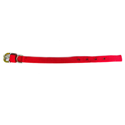 Dog Nylon Collar Single Layer 0.75 inch