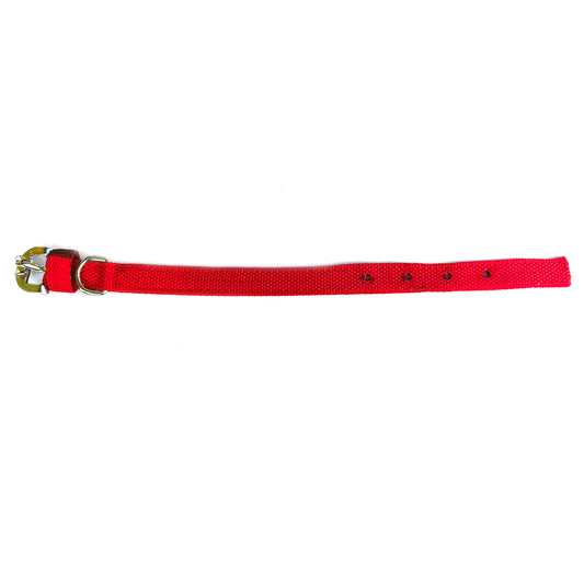 Dog Nylon Collar Single Layer 0.75 inch
