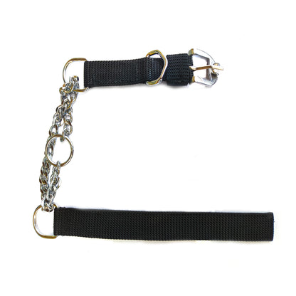 Dog Nylon Chowk Collar 1 inch