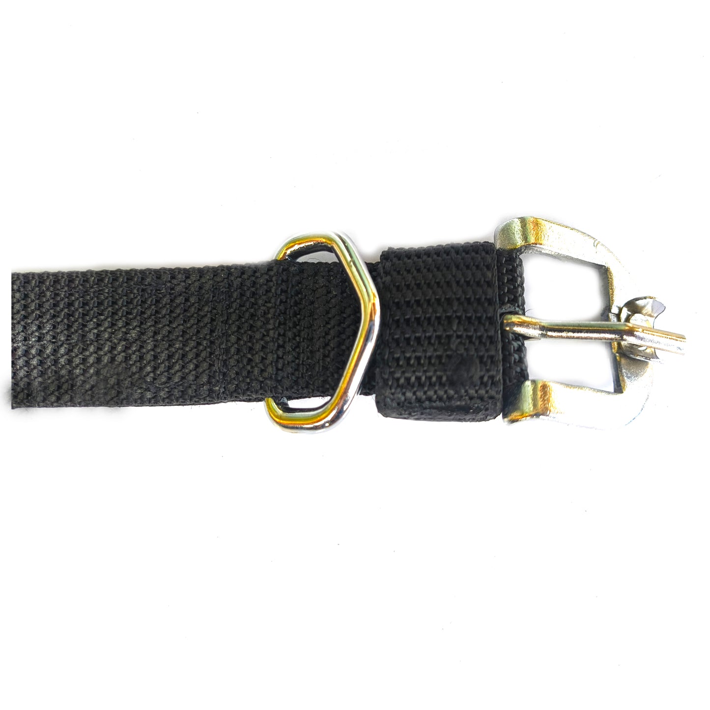 Dog Nylon Chowk Collar 1 inch