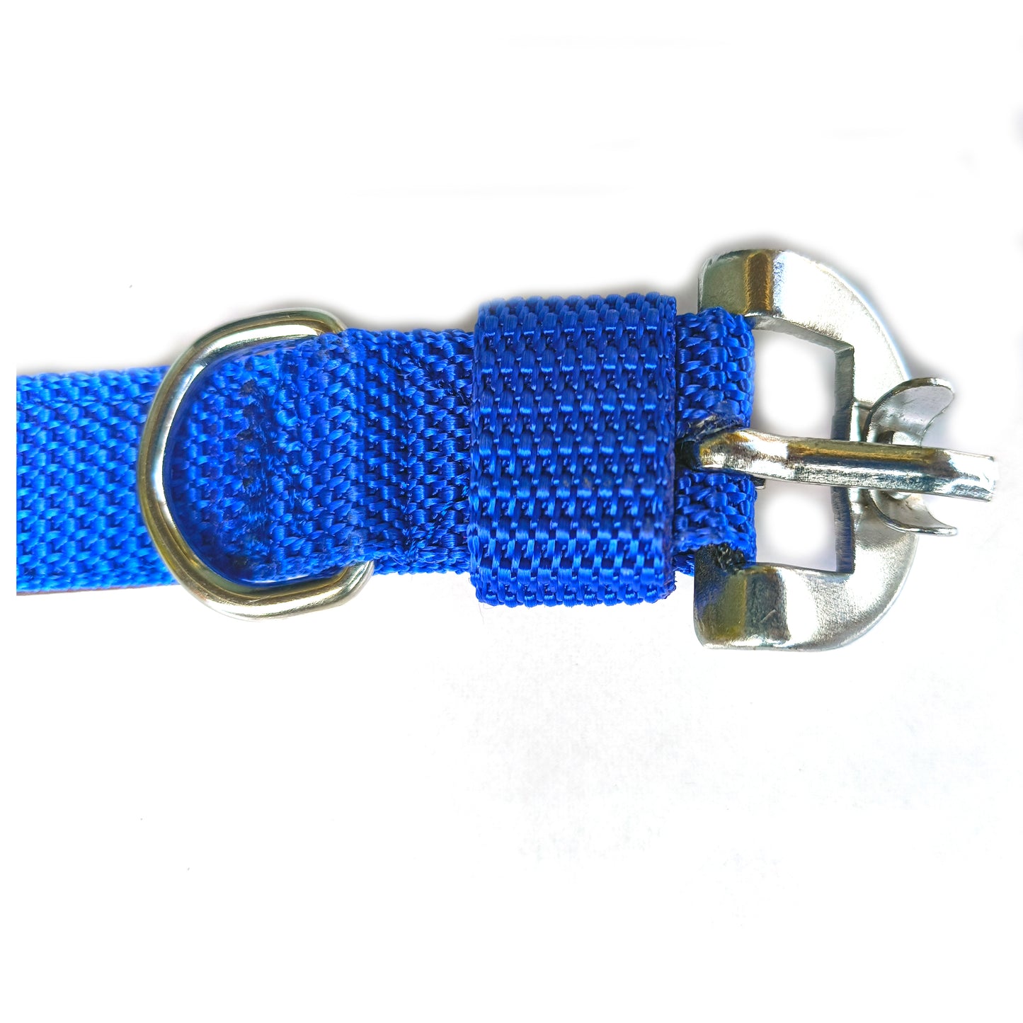 Dog  EVA Paded Collar 0.75 inch