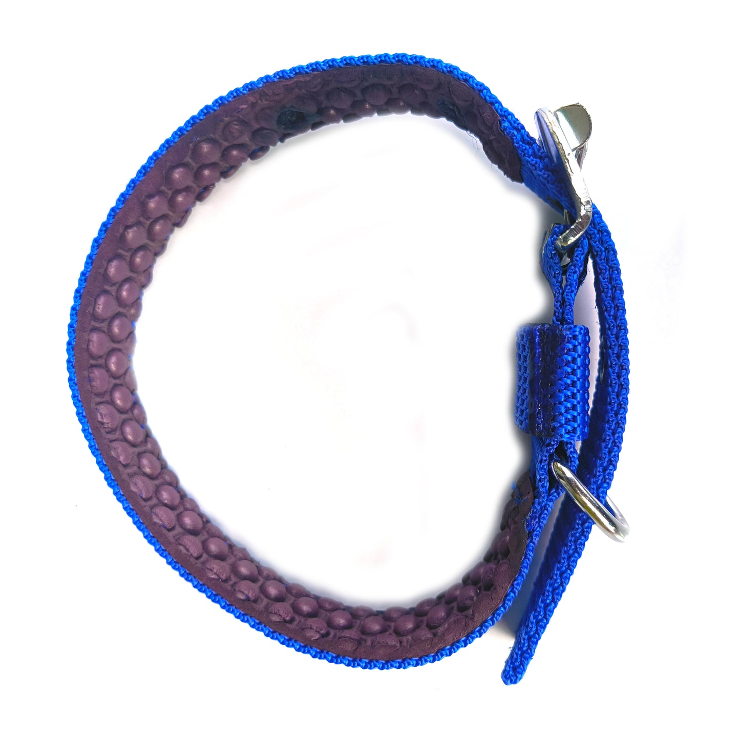 Dog  EVA Paded Collar 0.75 inch