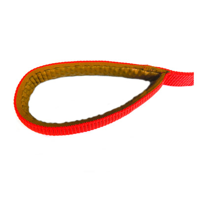 Dog Lease Double Layer Plastic Polymer 1 inch