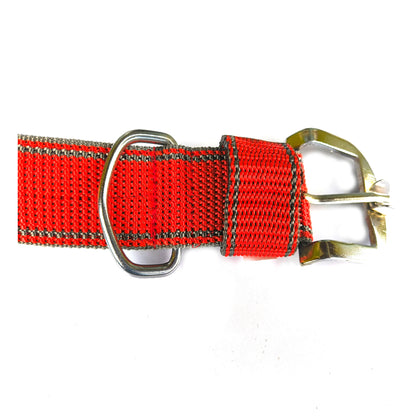 Dog Chowk Collar Nylon 1.5 inch