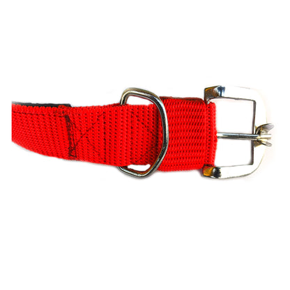 Dog  Paded Collar 1.5 inch