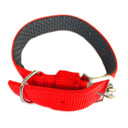 Dog  Paded Collar 1.5 inch