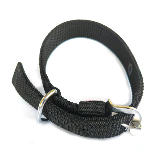 Dog  Collar Double Layer Plastic Polymer 1 inch