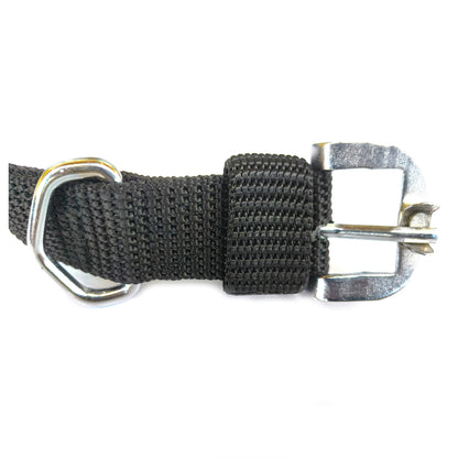 Dog  Collar Double Layer Plastic Polymer 1 inch