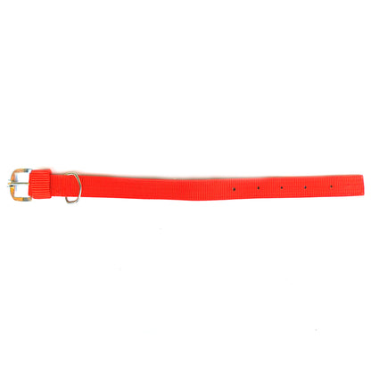 Dog  Collar Double Layer Plastic Polymer 1.5 inch
