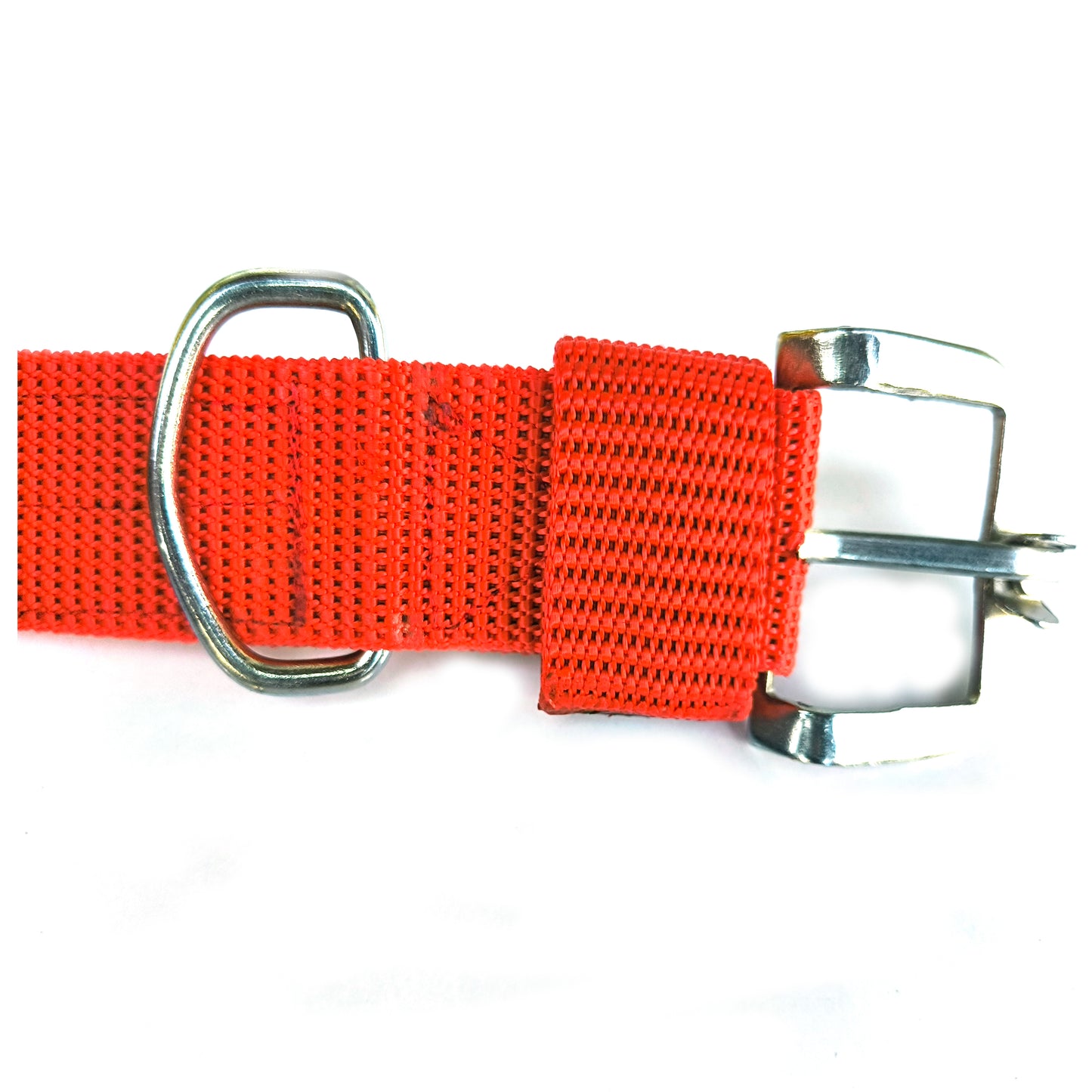 Dog  Collar Double Layer Plastic Polymer 1.5 inch