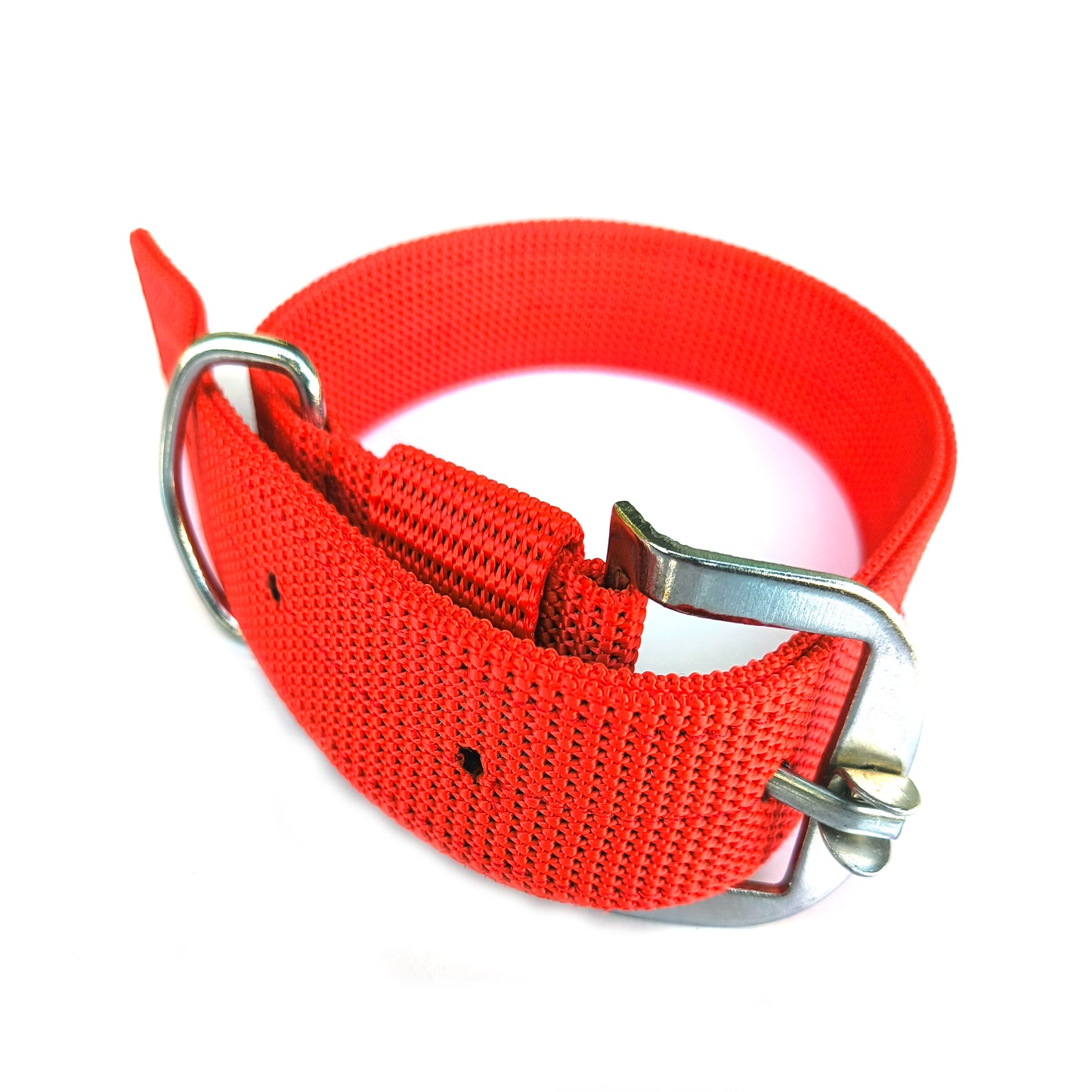 Dog  Collar Double Layer Plastic Polymer 1.5 inch
