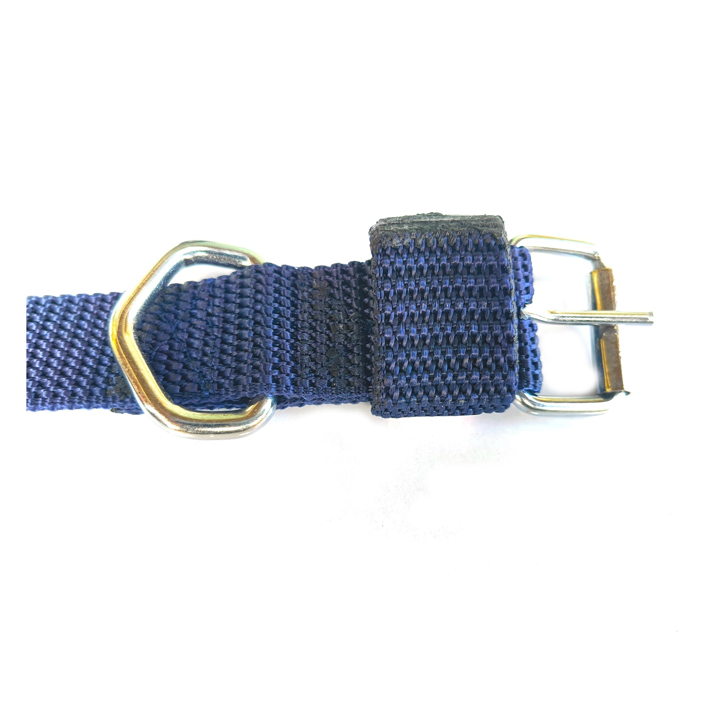 Dog Collar single Layer Plastic Polymer 1 inch