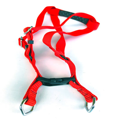 Dog Body Belt Plastic Polymer 1 inch
