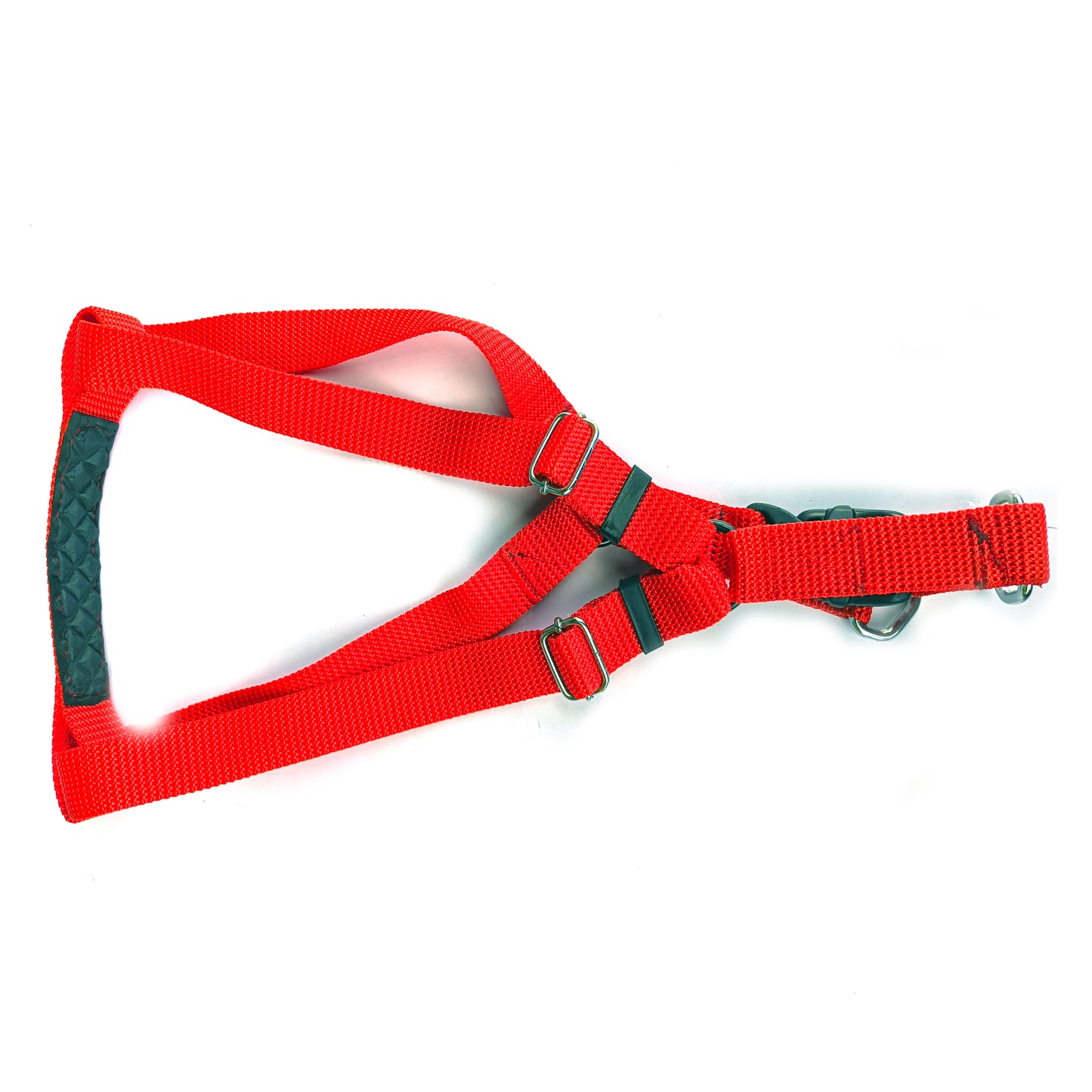 Dog Body Belt Plastic Polymer 1 inch