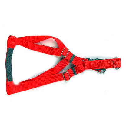 Dog Body Belt Plastic Polymer 1 inch