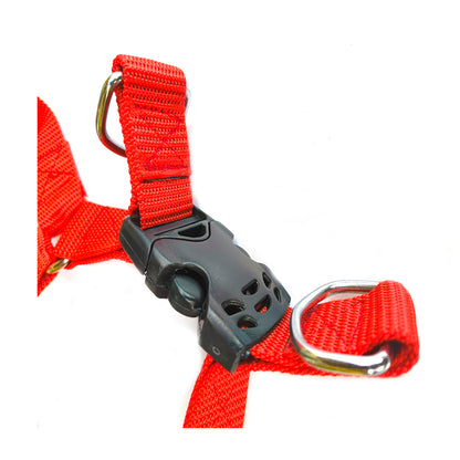 Dog  Body Belt Plastic Polymer 1.5 inch