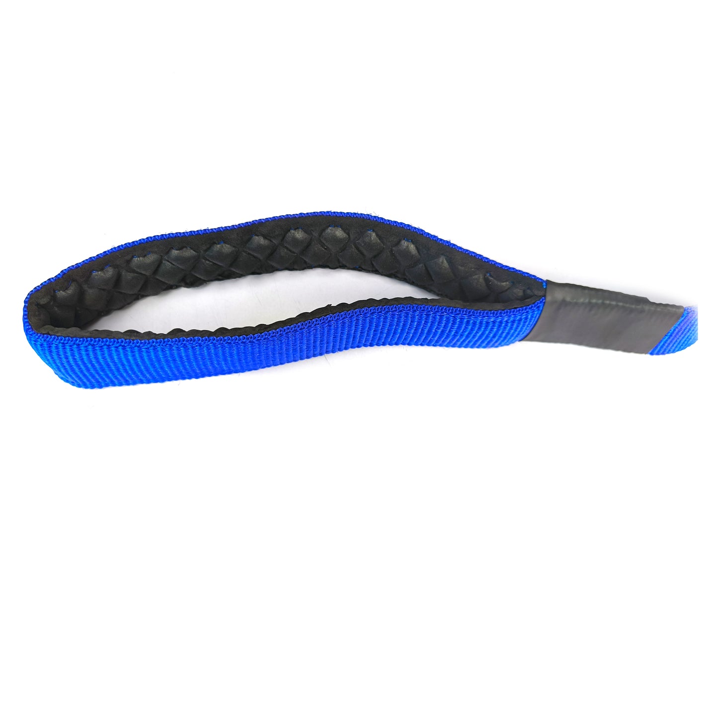 Dog Lease Single Layer Nylon 1 inch