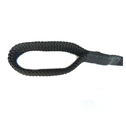 Dog Lease Net 1 inch