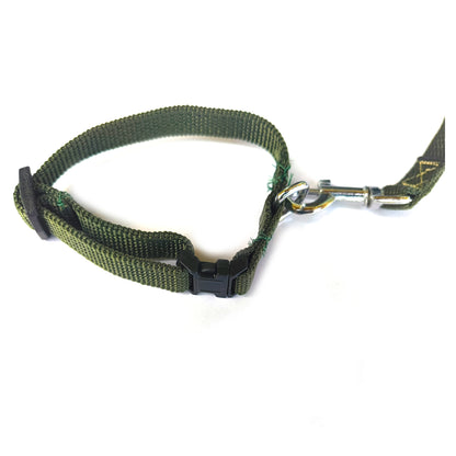 Dog Lease And Collar Plastic Polymer 0.5 inch