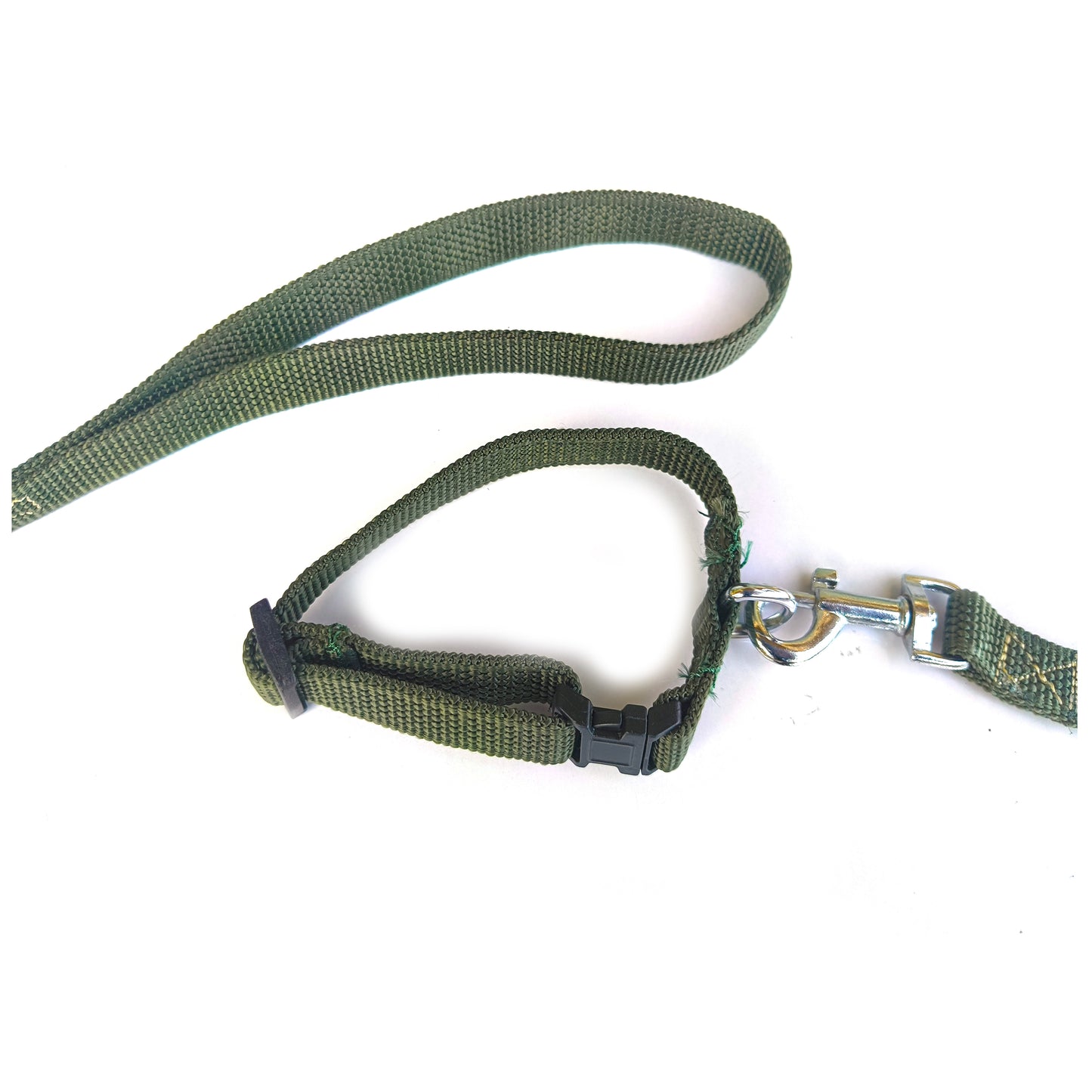 Dog Lease And Collar Plastic Polymer 0.5 inch