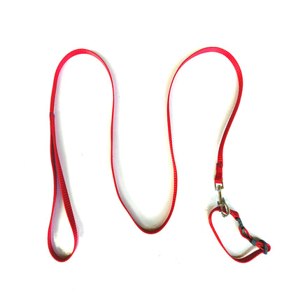 Dog Lease And Collar Nylon 0.5 inch