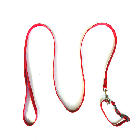 Dog Lease And Collar Nylon 0.5 inch