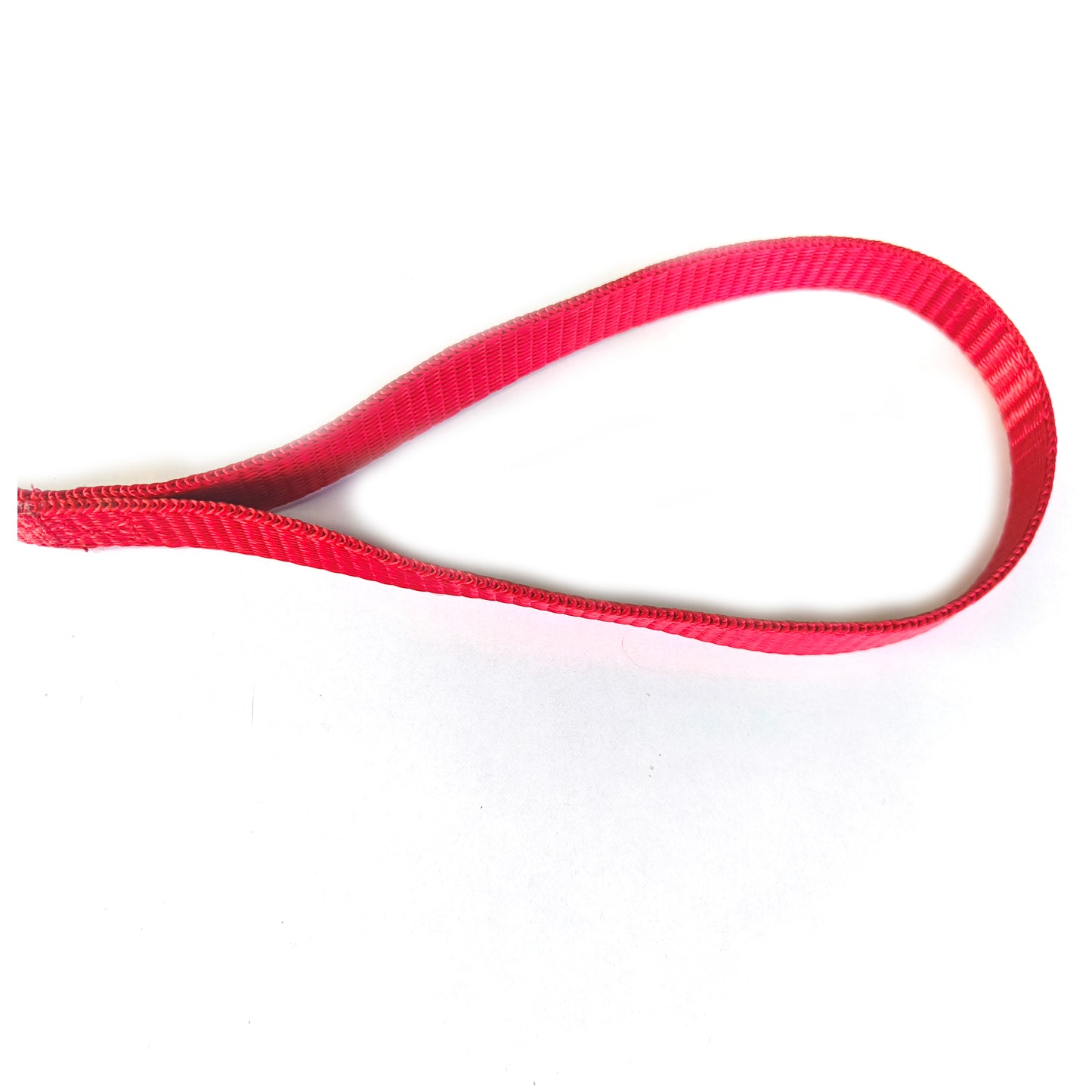 Dog Lease And Collar Nylon 0.5 inch