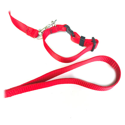 Dog Lease And Collar Nylon 0.5 inch