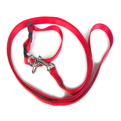 Dog Lease And Collar Nylon 0.5 inch