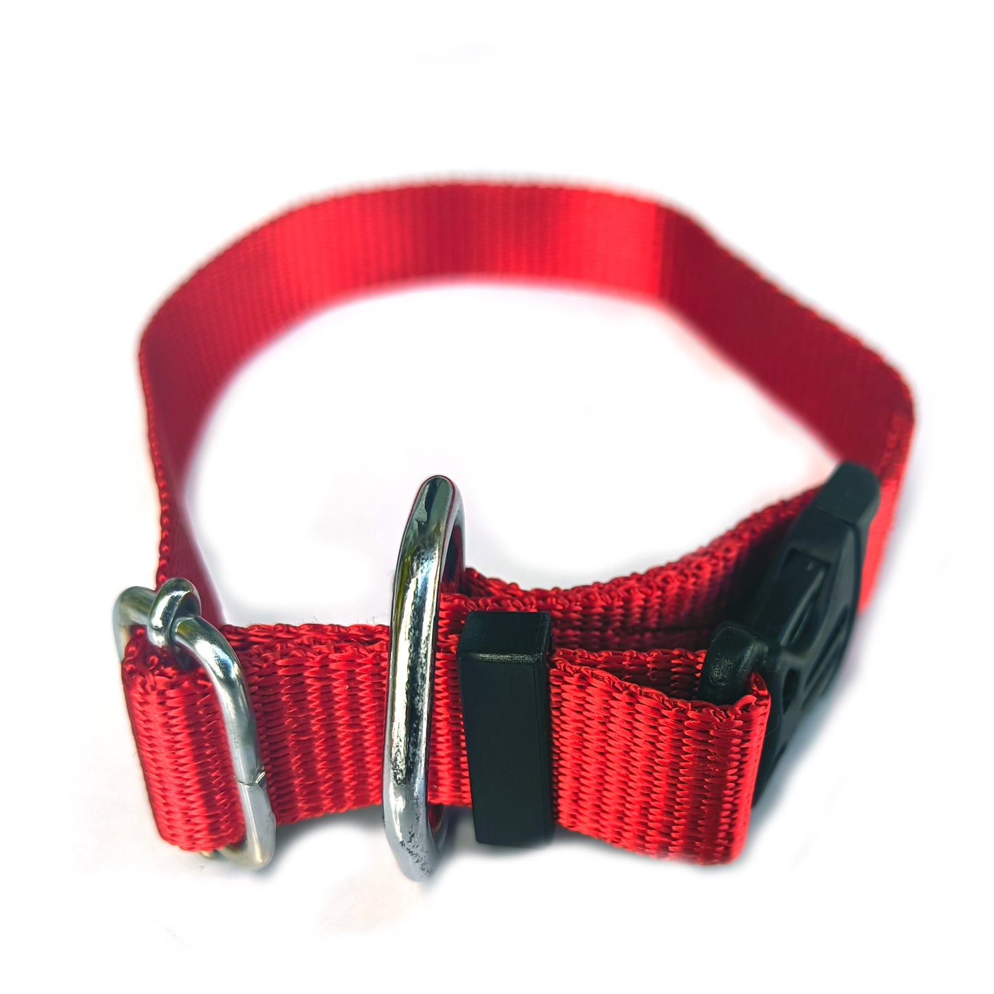 Dog Buckle Collar Nylon 0.75 inch