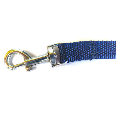 Dog  Lease Plastic Polymer 0.5 inch