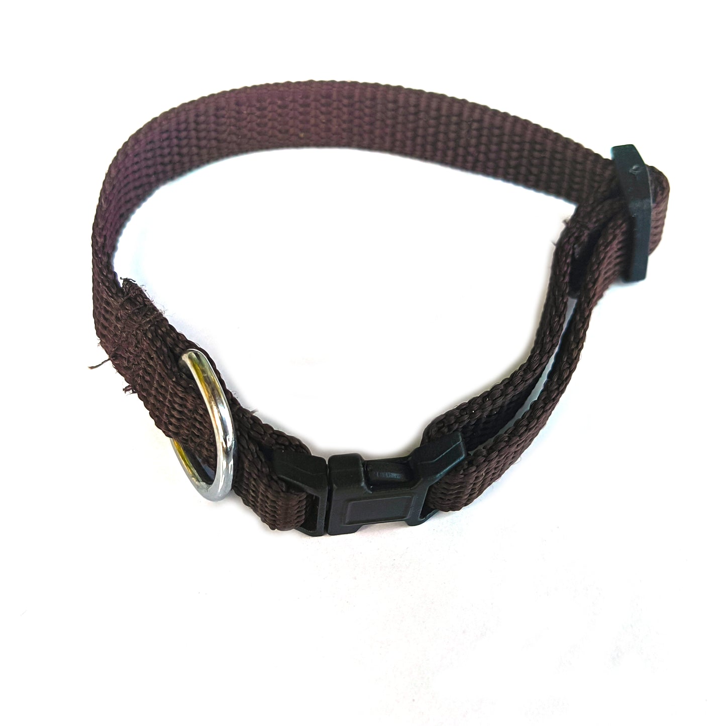Dog  Collar Plastic Polymer 0.5 inch