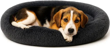 The Round Doughnut pet Bed
