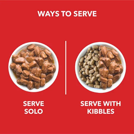 Drools Adult Wet Dog Food, Real Chicken And Chicken Liver Chunks in Gravy