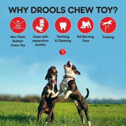 Drools Non-Toxic Rubber Hole Ball Dog Chew Toy